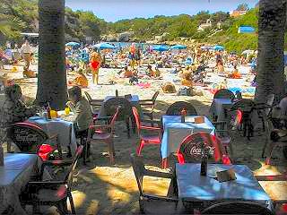 La playa de Calan Blanes es pequeña pero esta muy bien, dispone de un bar en medio de un denso y curioso palmeral justo al fimal de la arena de la playa