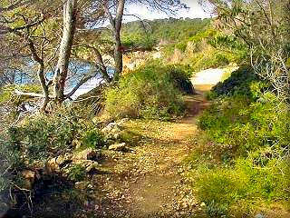 Cala Fustam y Escorxada en la costa sur del municipio de Es Migjorn Gran es el paseo por el area mas virgen de la costa menorquina